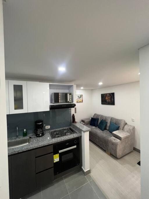 Apartamento Aparta Estudio Con Ascensor 403
