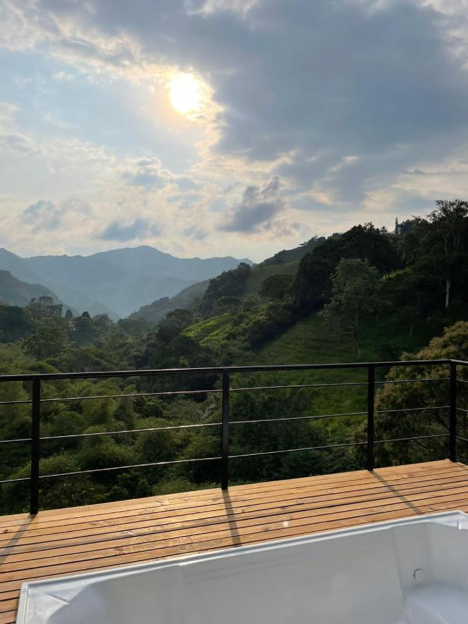 Amari Garzas Bogotá