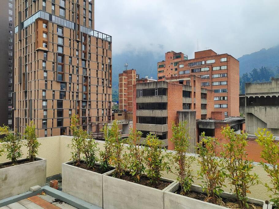 Apartamento In La Candelaria