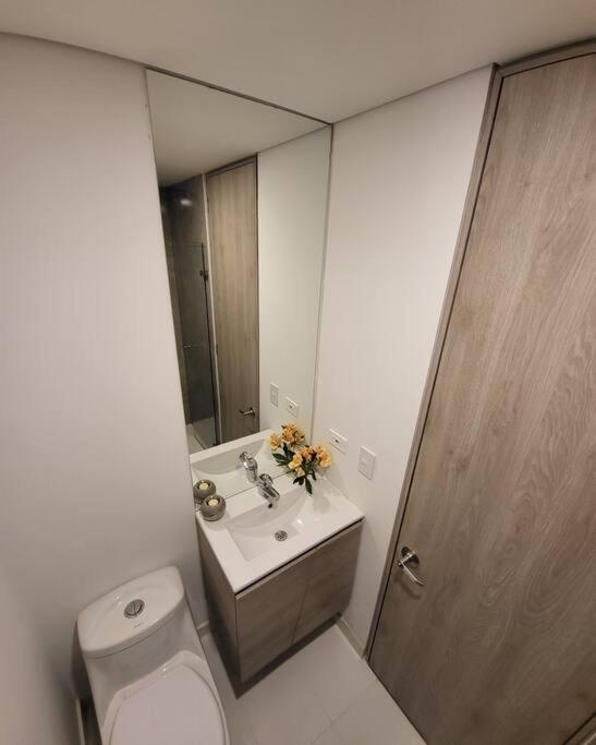Centrico Loft Turistico Y Negocios *