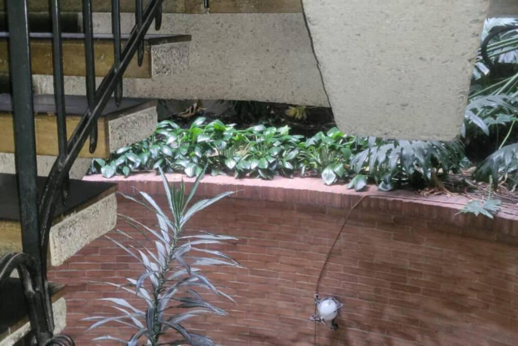 Apartamento Apartamento Parkview 93