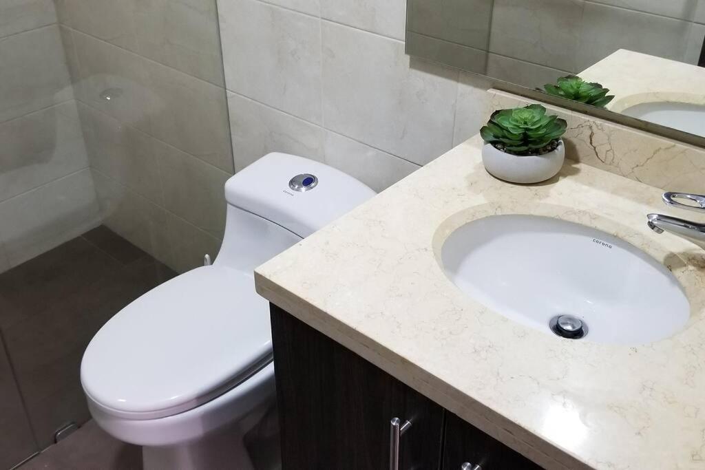 Habitat Macarena. Apartamento Completo Apartamento