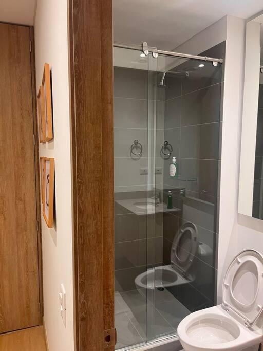 Espectacular Aparta-suite Apartamento