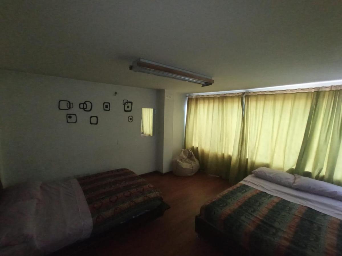 Hostel North House *