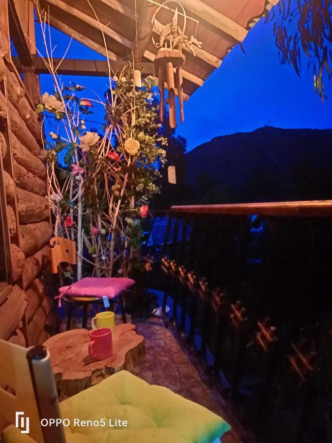 Cabana En El Arbol Picasso Lodge *