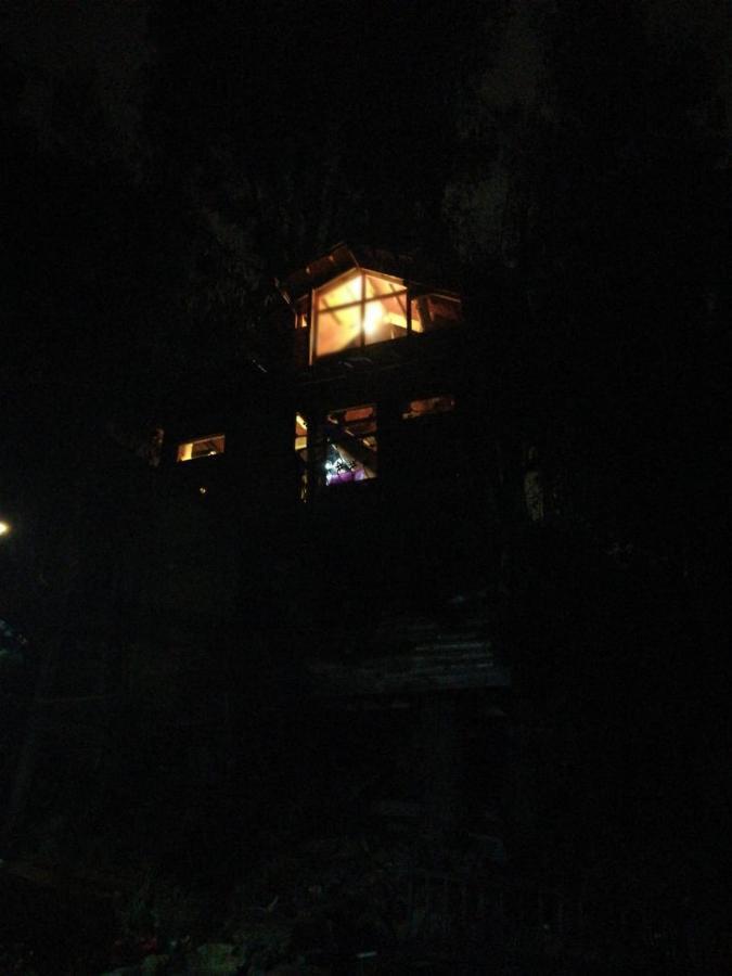Cabana En El Arbol Picasso Lodge Bogotá