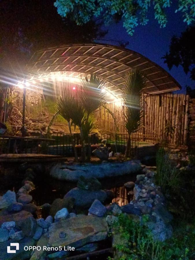 Lodge Cabana En El Arbol Picasso Bogota