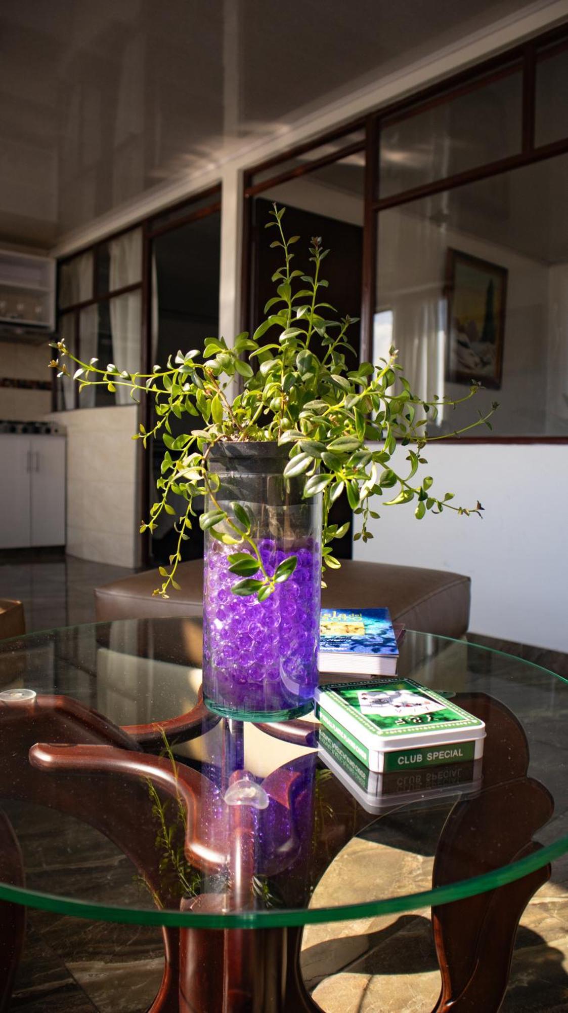 Encantador Comodo Y Confortable. Apartamento