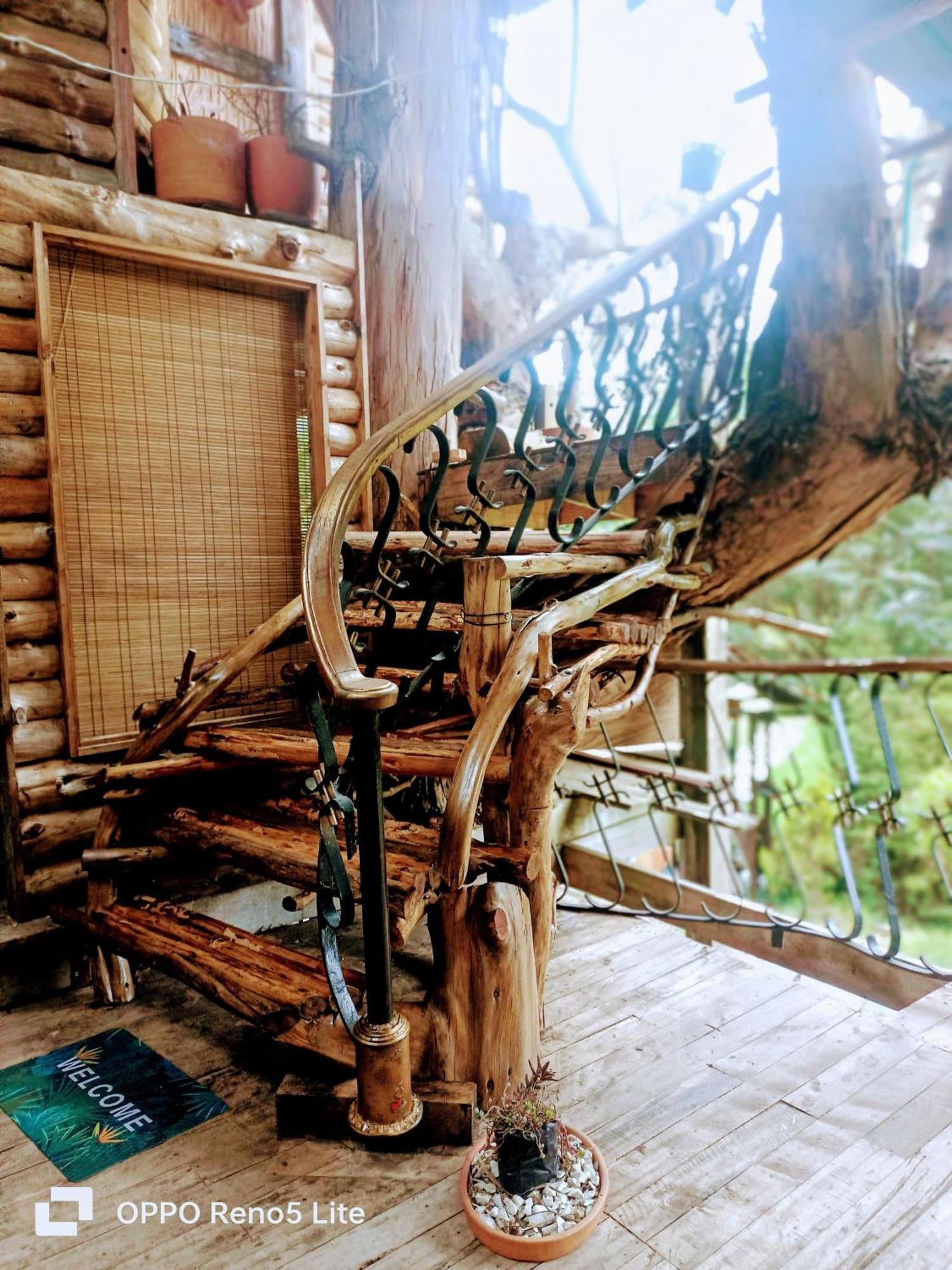 Cabana En El Arbol Picasso Lodge