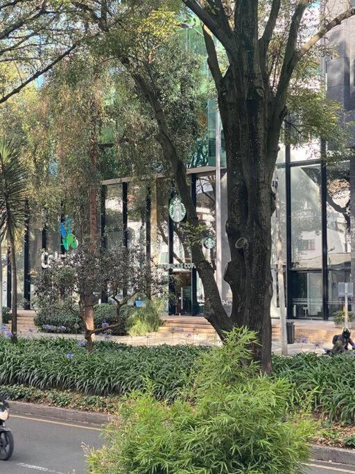 Acogedor Parque 93 Bogotá