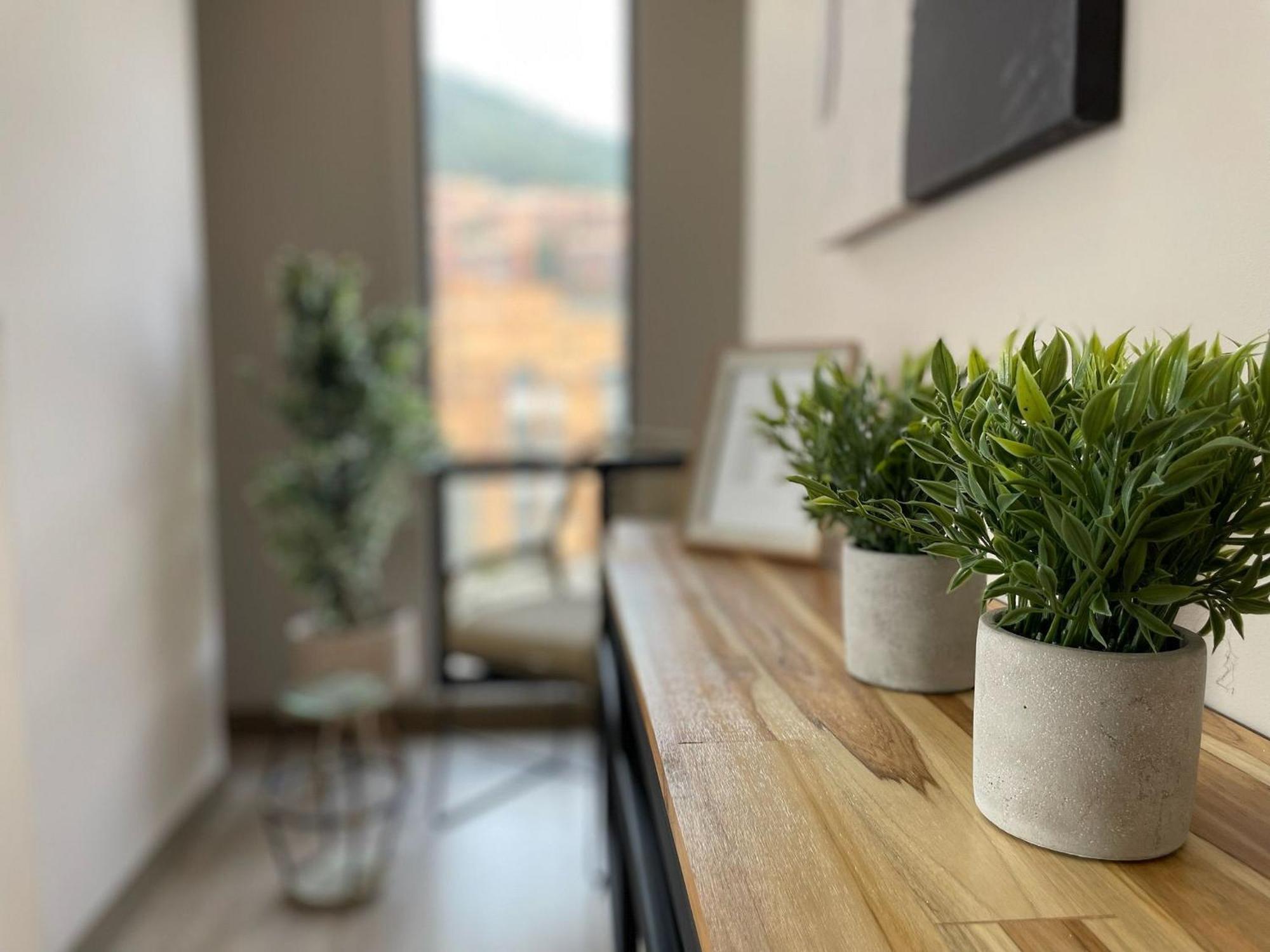 Apartamento Palmetto Park123 *