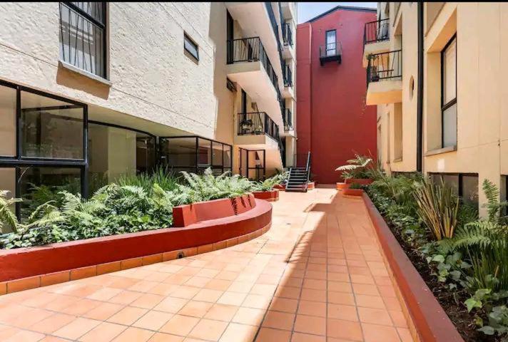 Hermoso En El Centro Historico Apartamento