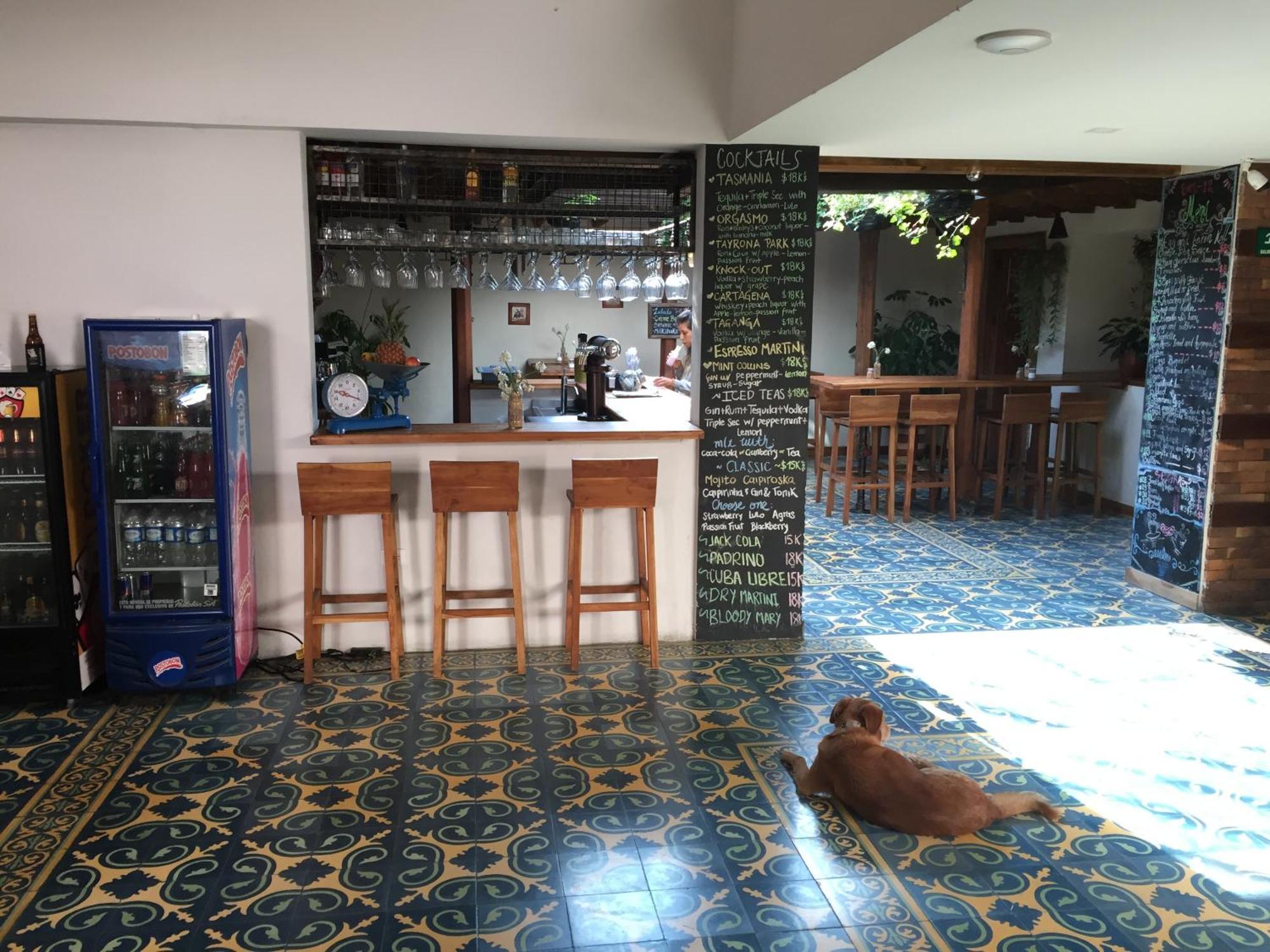 The Cranky Croc Hostal