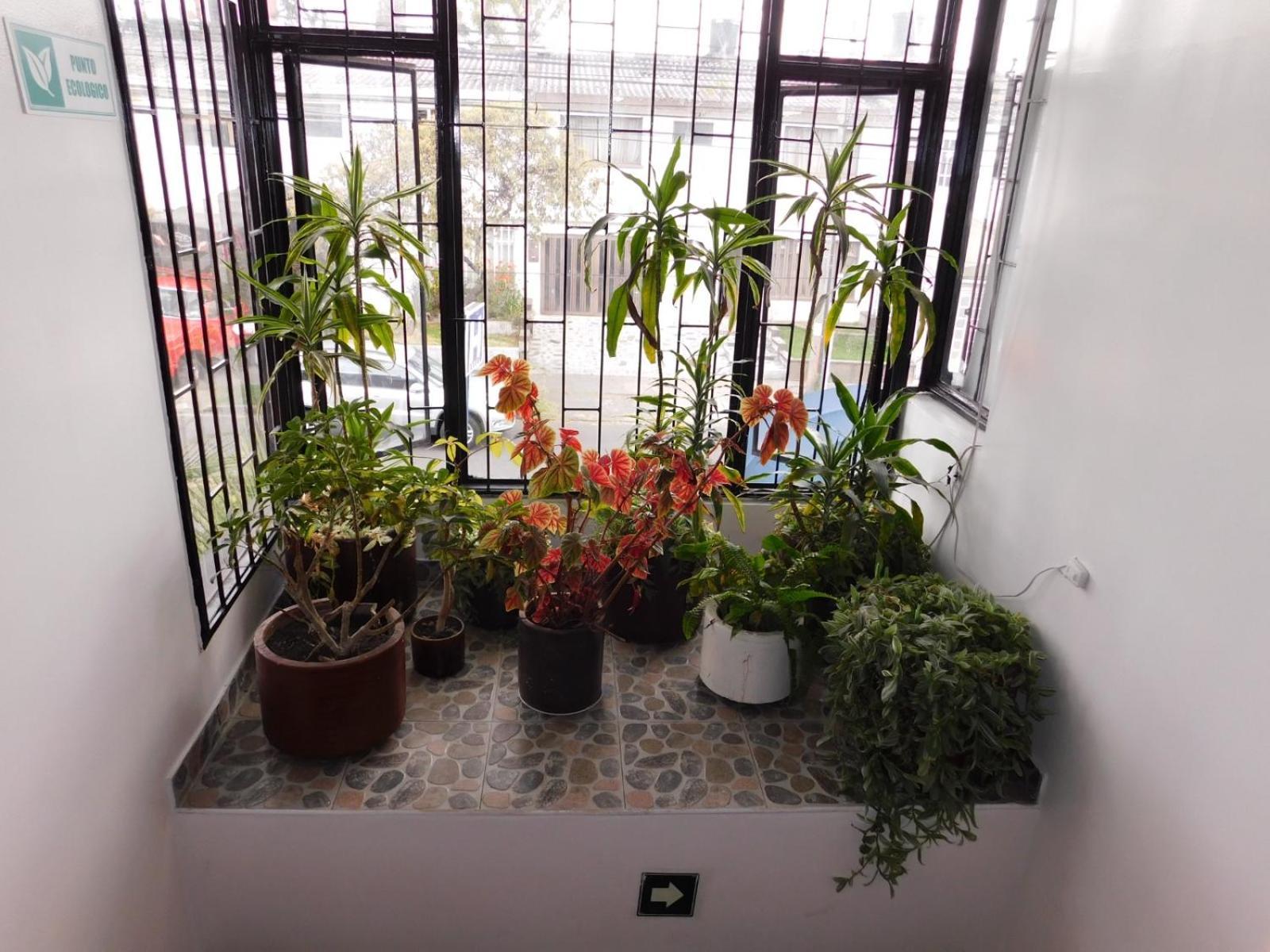 Casa Navi