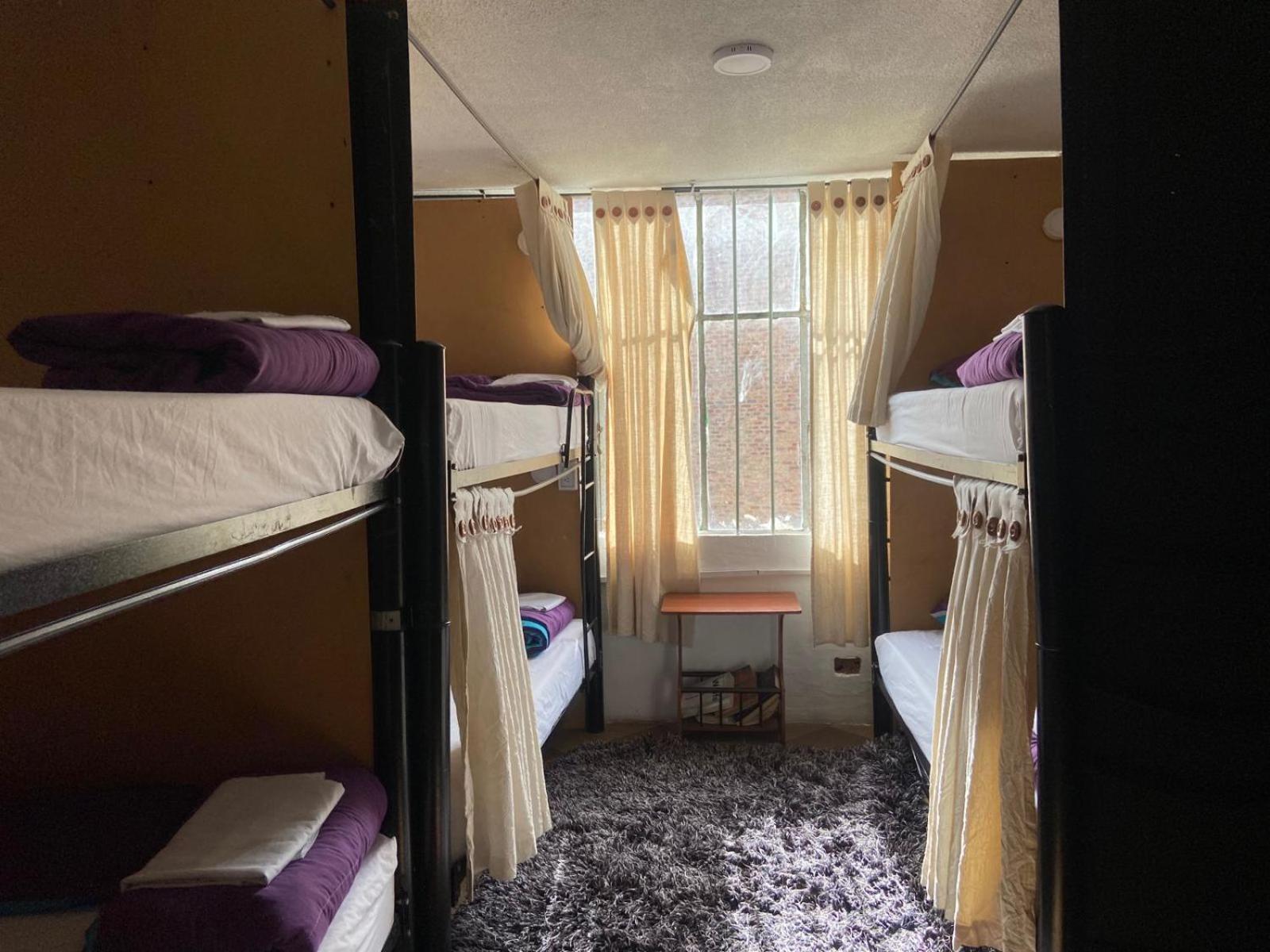 Hostal Backpackers - La Terraza