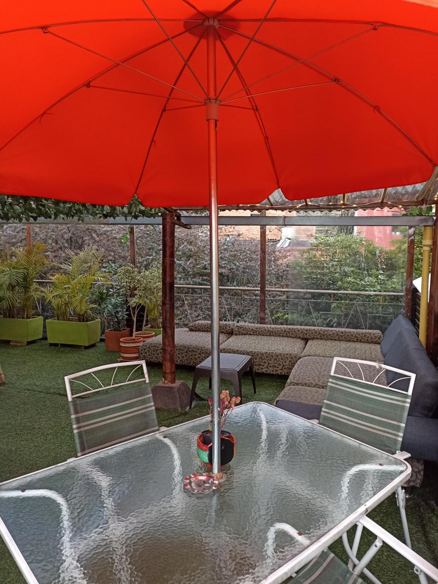 Hostal Backpackers - La Terraza