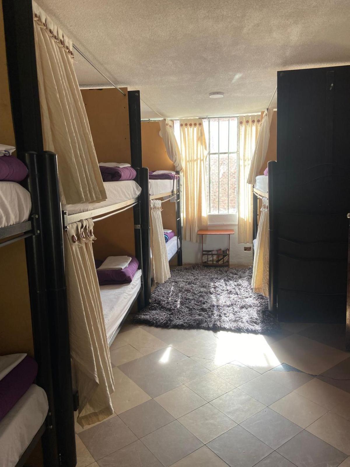 Hostal Backpackers - La Terraza *