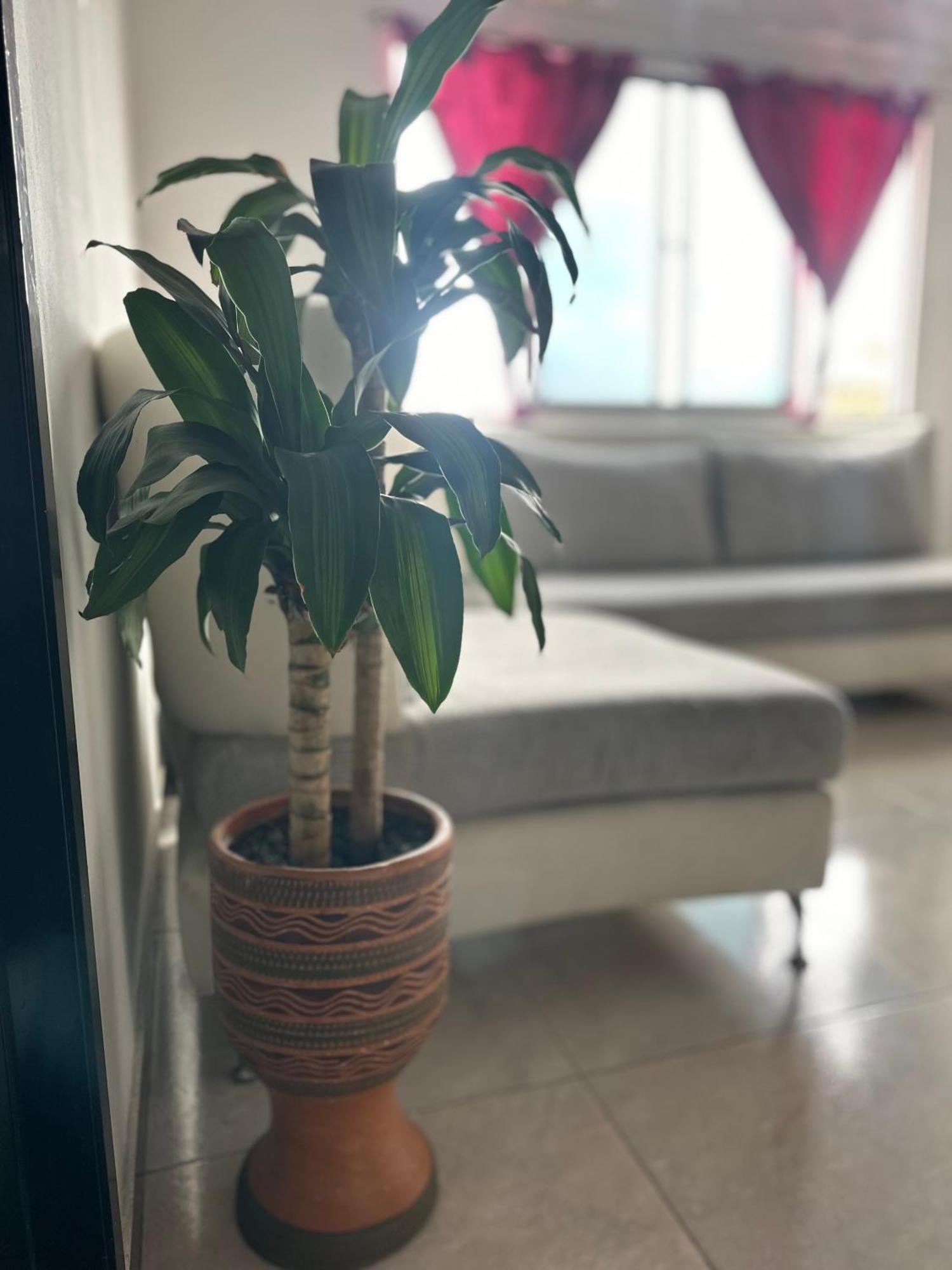 Apartamento Lindo Apartamento Ubicacion Central Bogotá