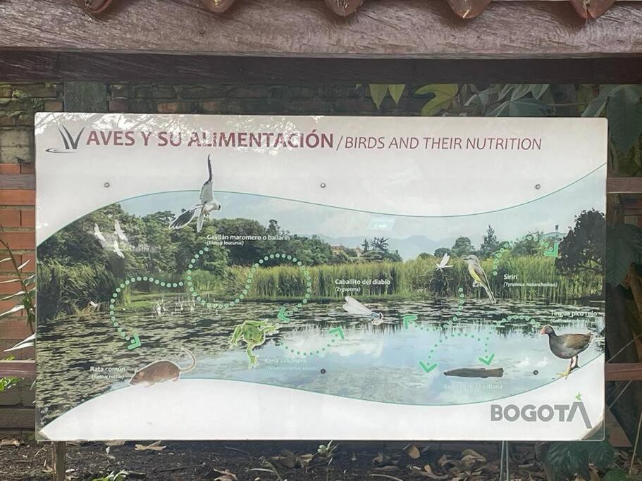 Acogedor Y Muy En