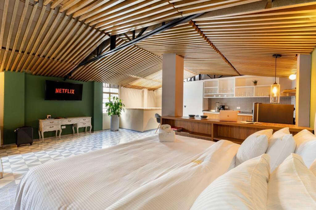 Avj5 - Increible Y Amplio Aparta-loft En La Candelaria *