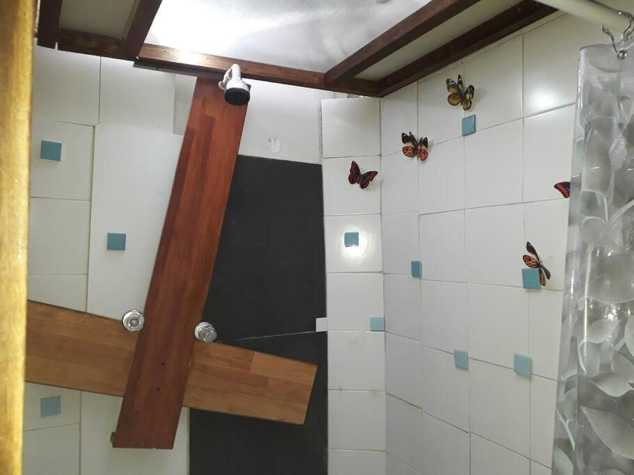 Apartment Casa Viva