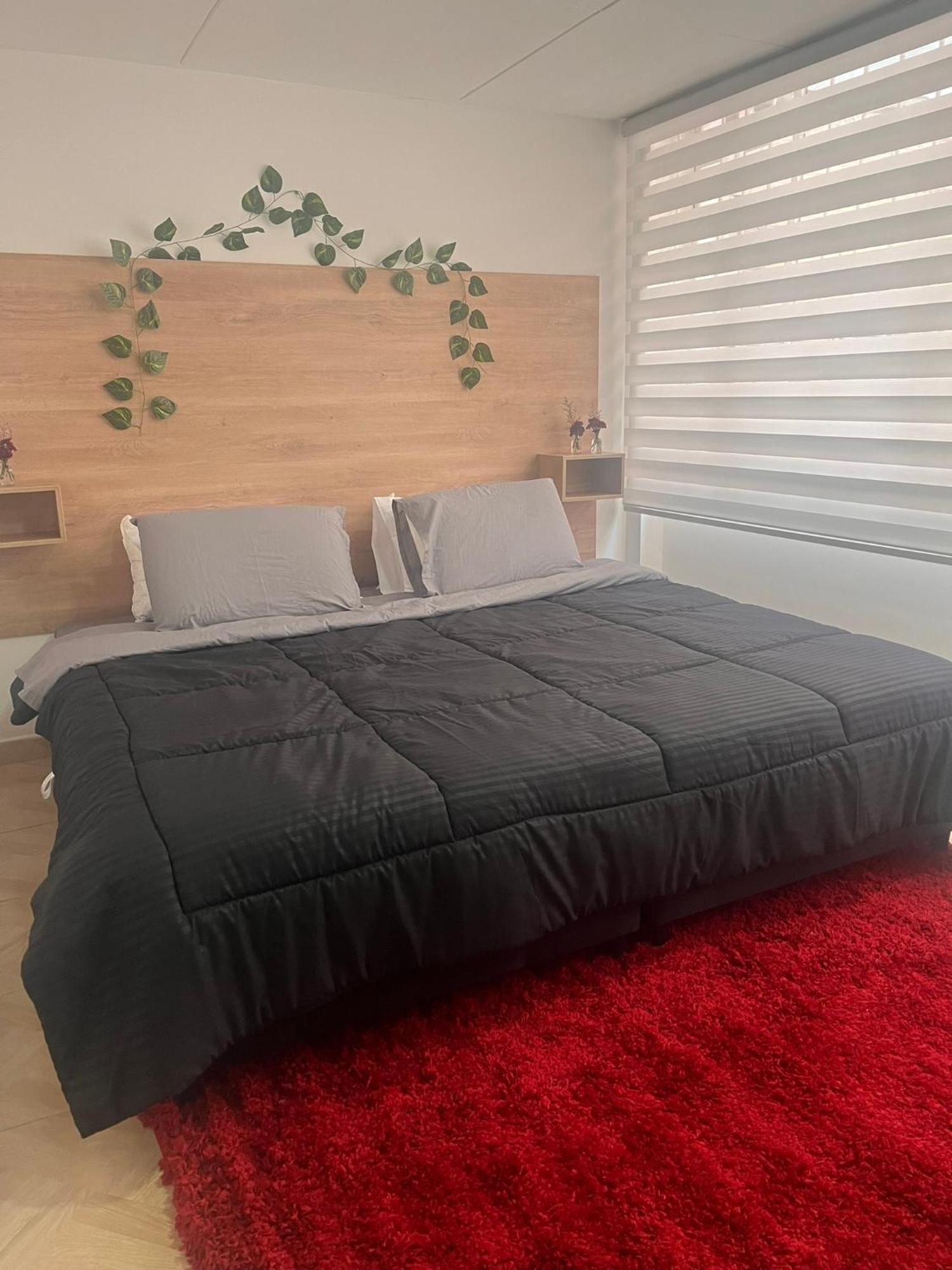 Hermoso Duplex Con Terraza Apartamento