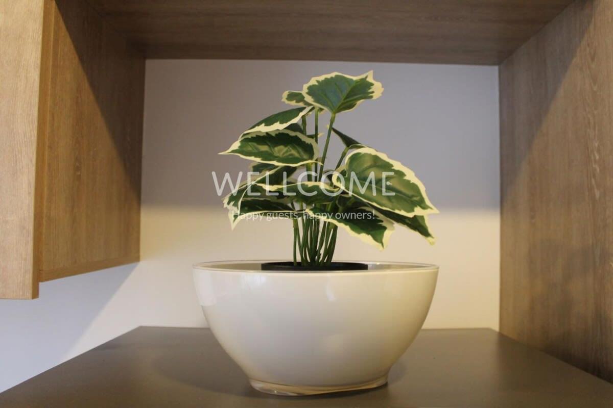 Entorno - Encantador Apto 303 Tipo Loft Para 4 En Apartamento