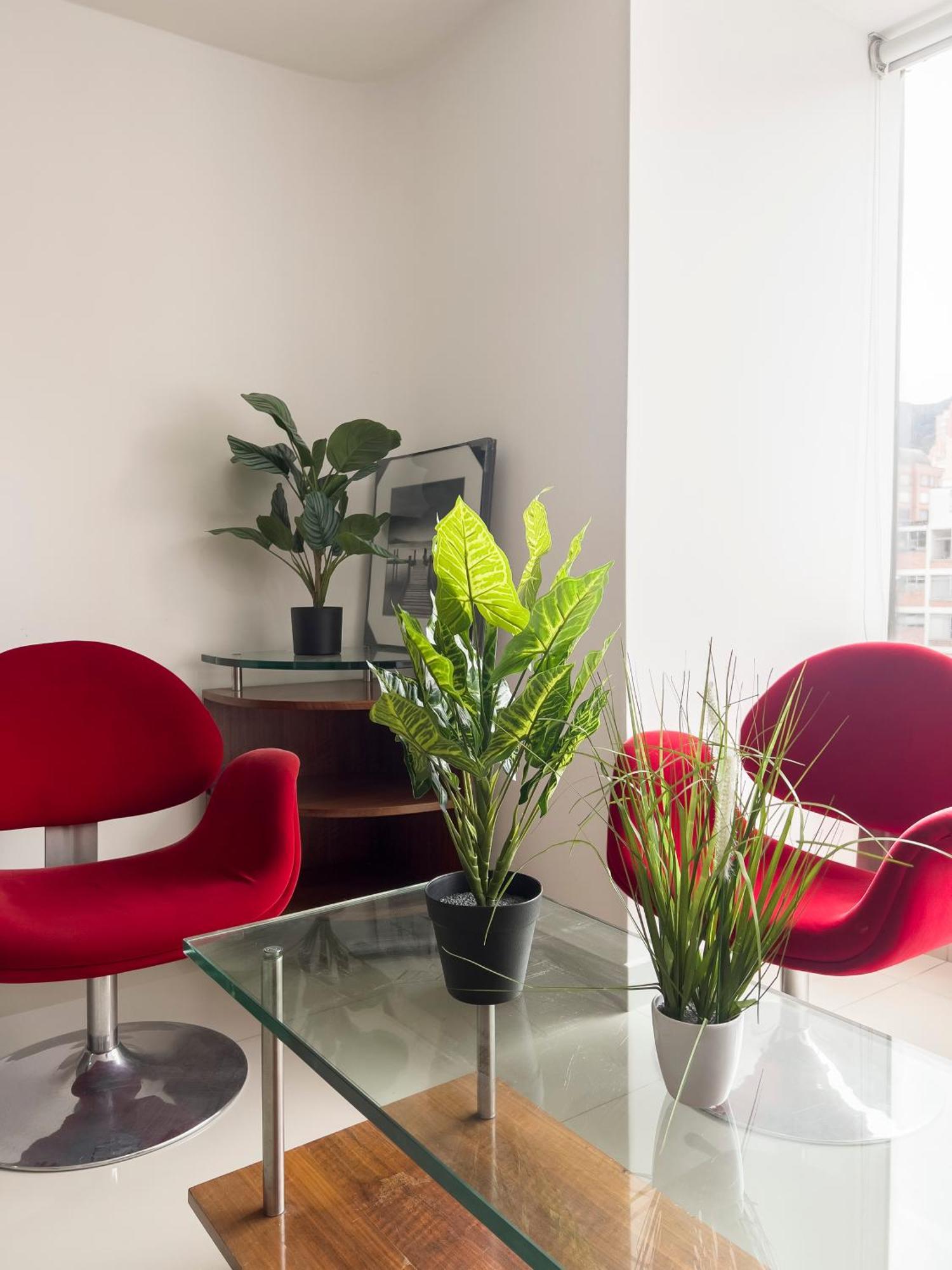 Apartamento Loft En El Corazon De Chapinero *