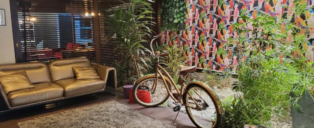 Boutique Casa Lozada *