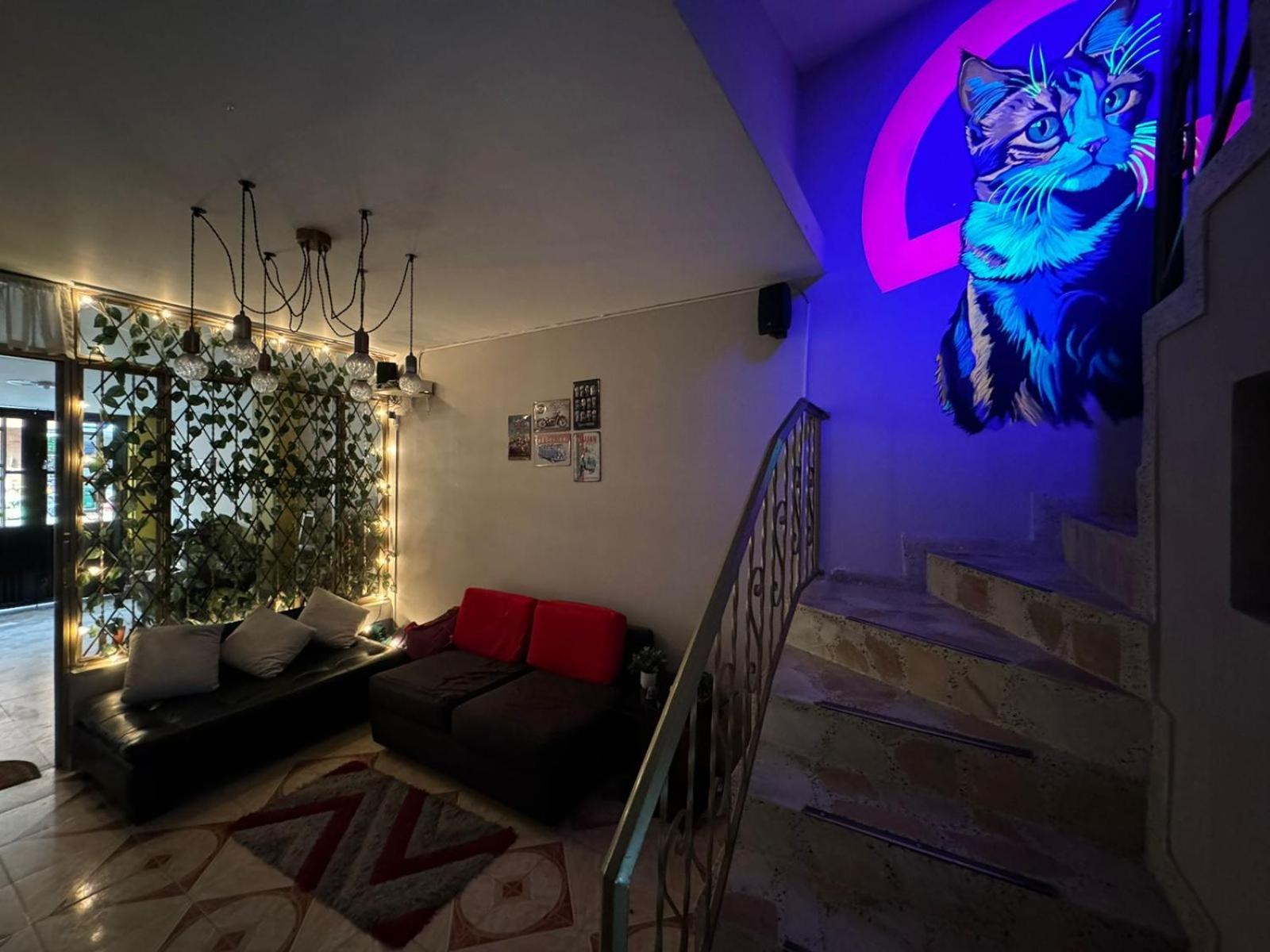 Gato Neon * Bogotá