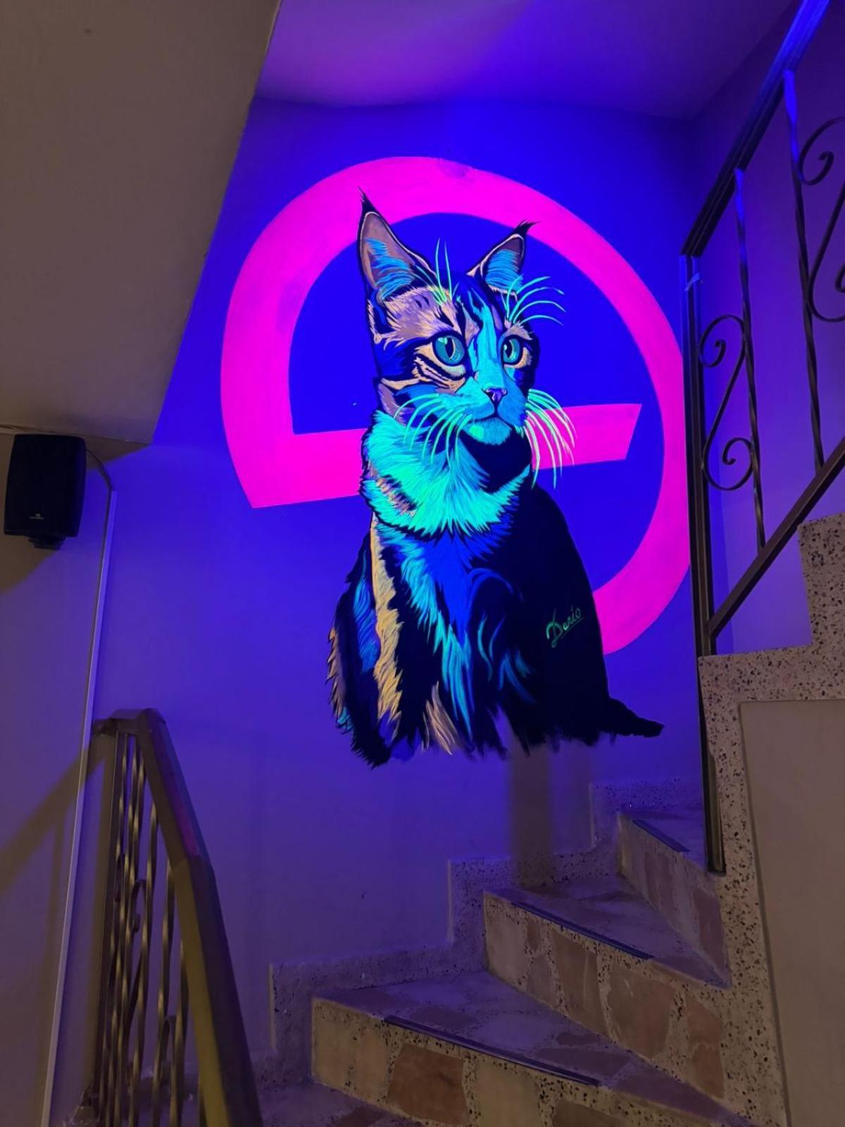 Gato Neon Bogotá