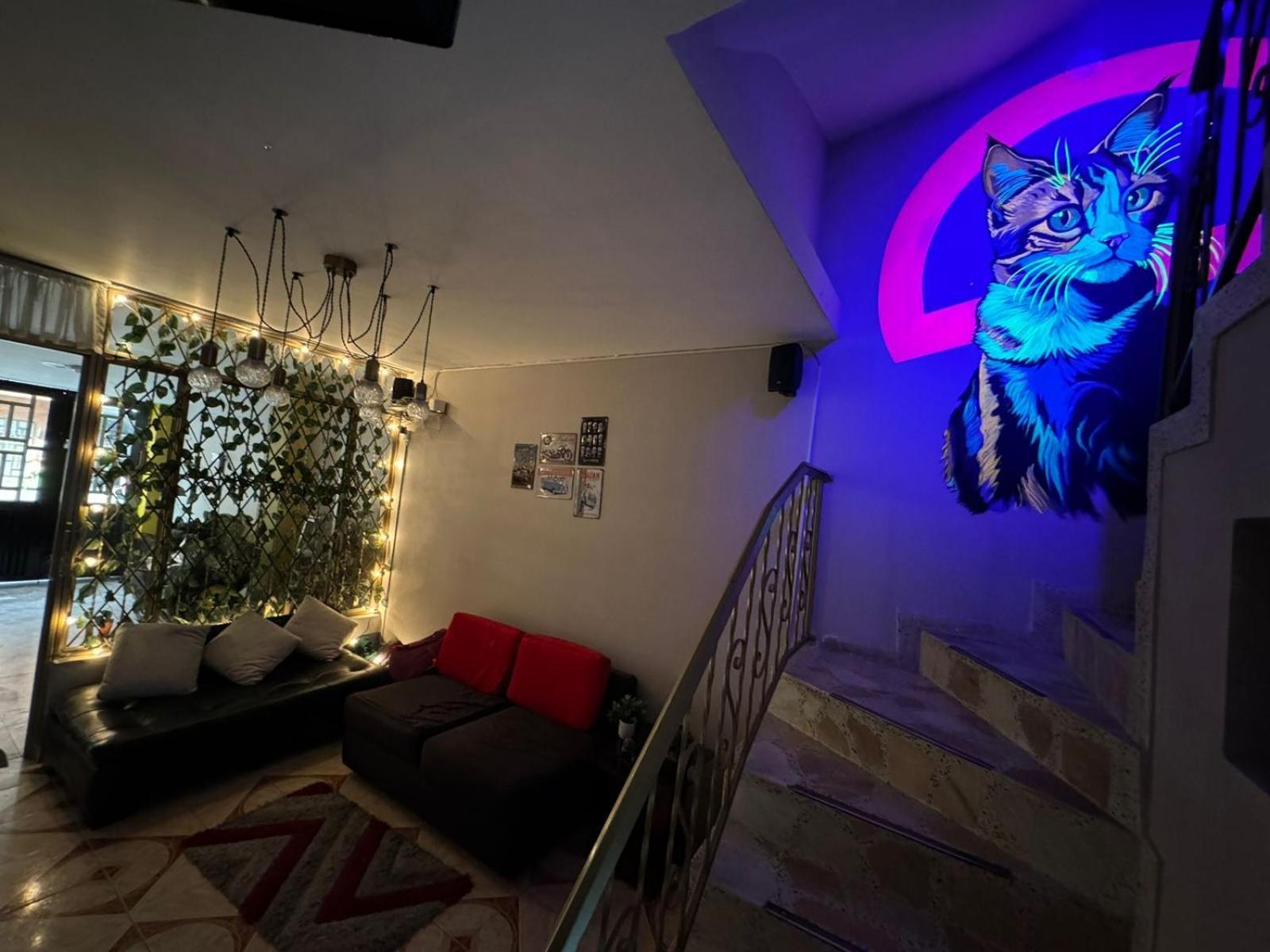 Gato Neon Pensión