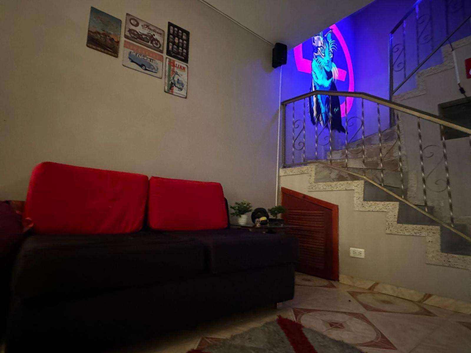 Pensión Gato Neon