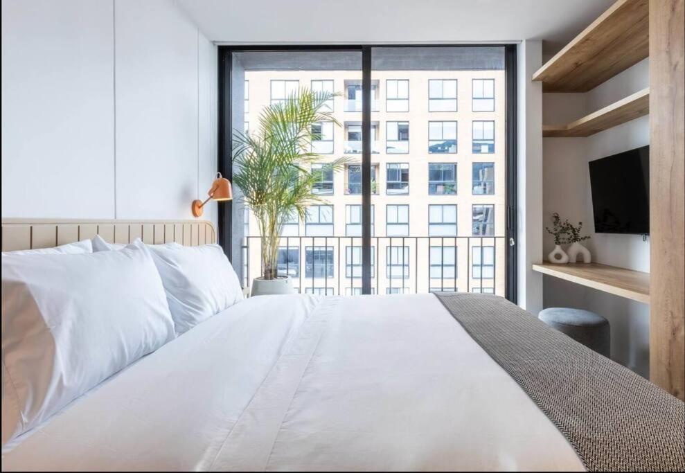 Unique Loft In Zona Rosa