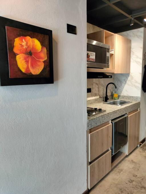 Apartamento Espectacular Parque 93 Estrenar Bogotá