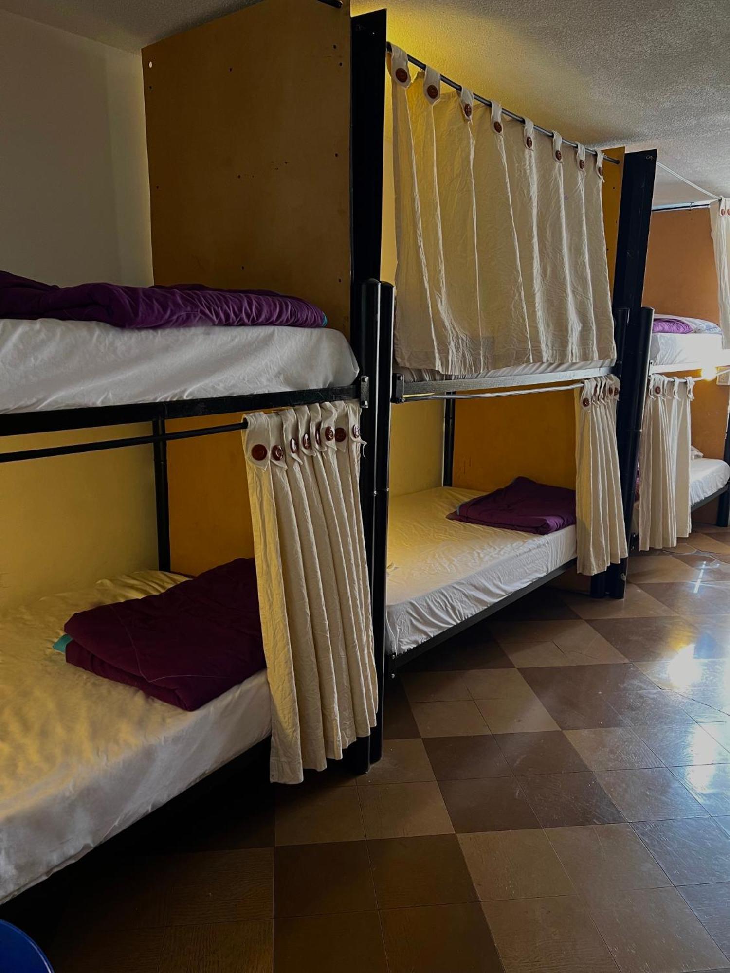 Backpackers - La Terraza Hostal