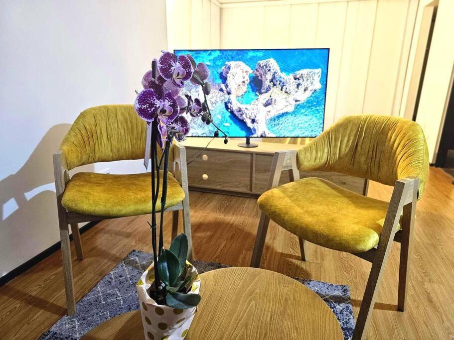 Apartamento Aparta Estudio Acogedor Chapinero