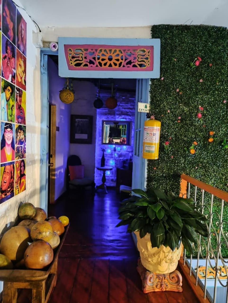 Lima Limon Pensión