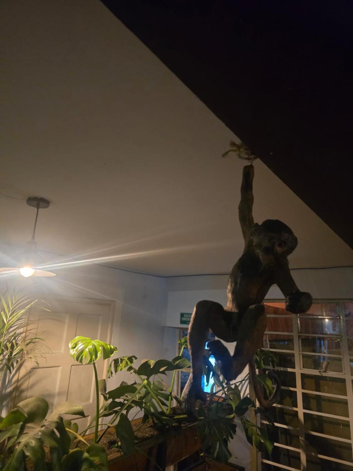 Hostal Portelli Hostal-zona G Para Extranjeros