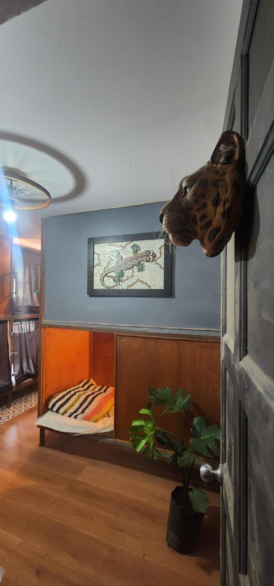 Hostal Portelli Zona G- Extranjeros Bogotá