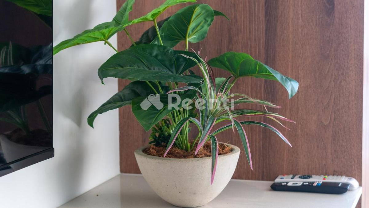 Loft Cerca A La Embajada Emericana