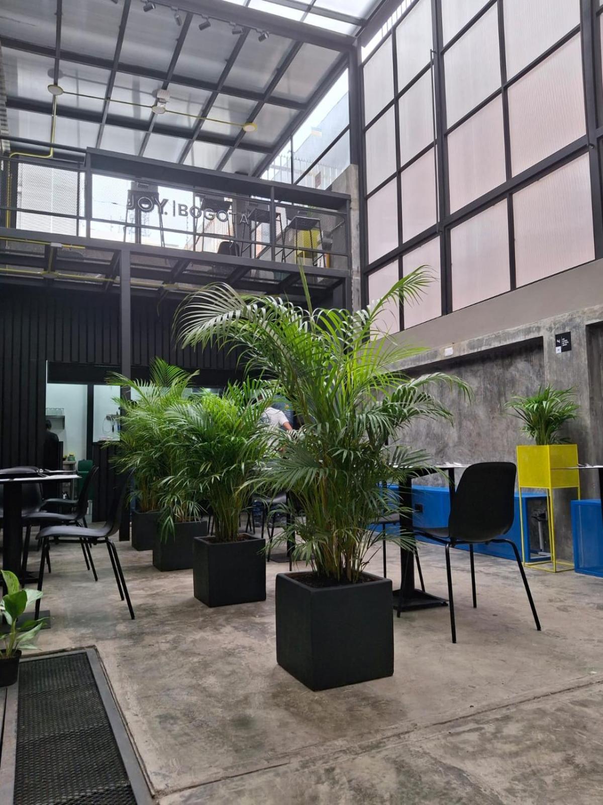 Hotel Joy Calle 85 Bogotá