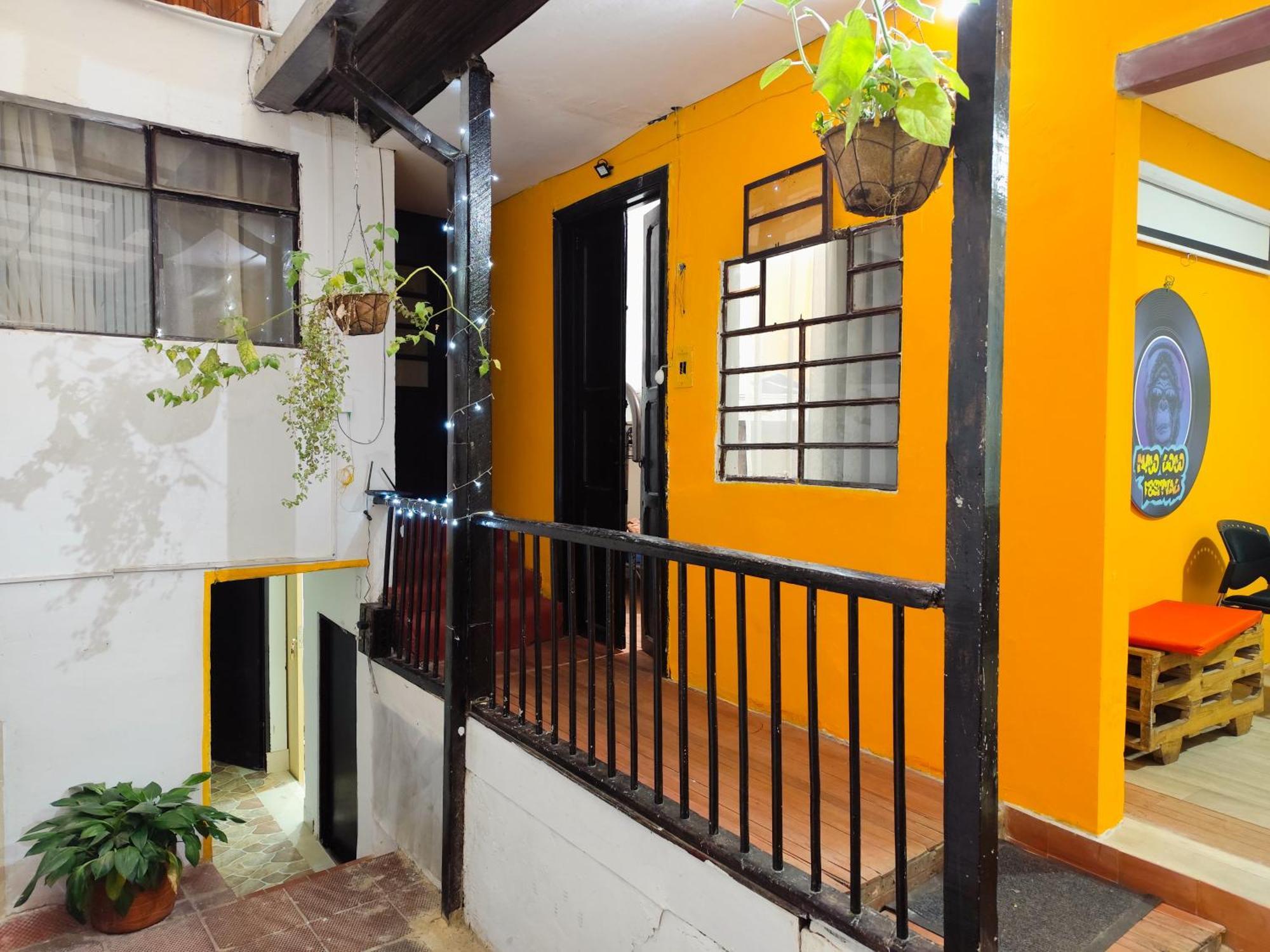 Mico Loco Casa Bogotá