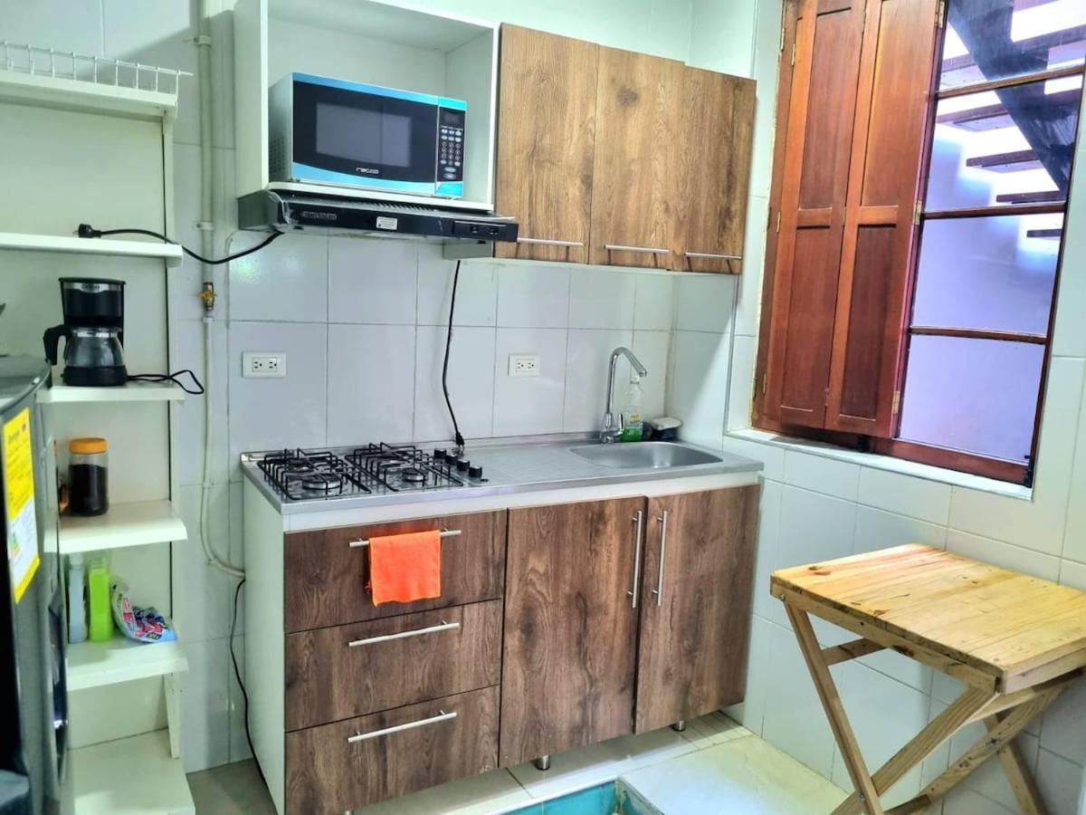 Casa De 3 Hab Con Enorme Terraza Privada En La Candelaria Apartamento Bogotá