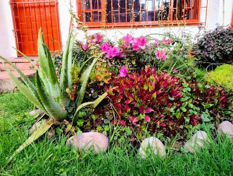 Bed and breakfast Art And Vitality House Direccion Correcta Calle 24a Bis No 44a 52 *