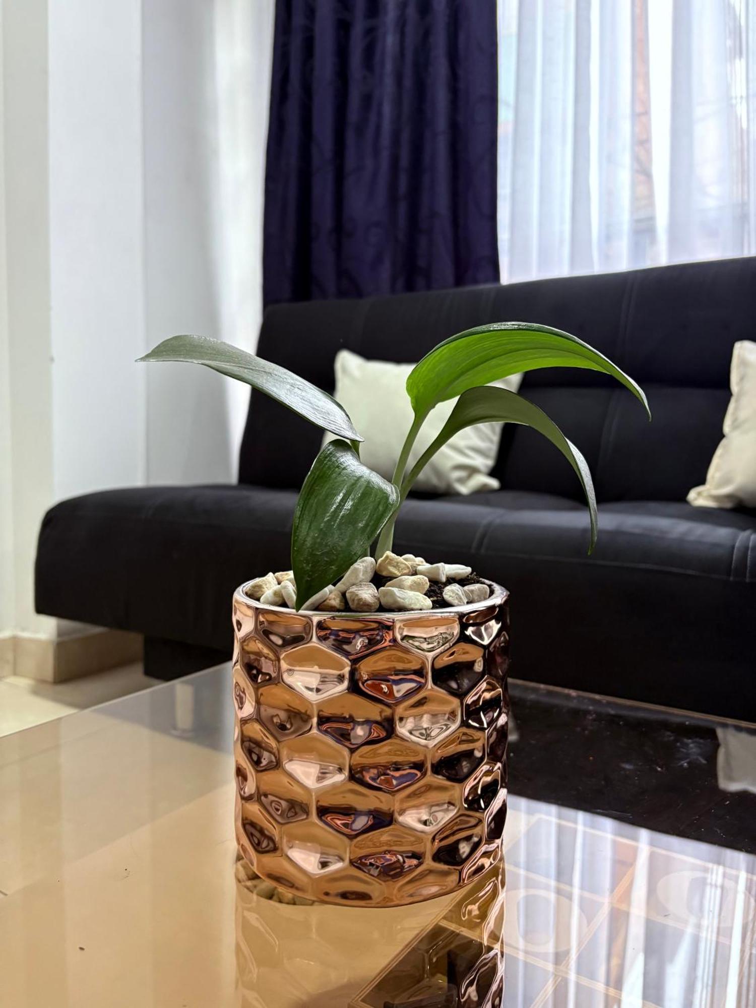 Apartamento Guambi Vip Bogotá