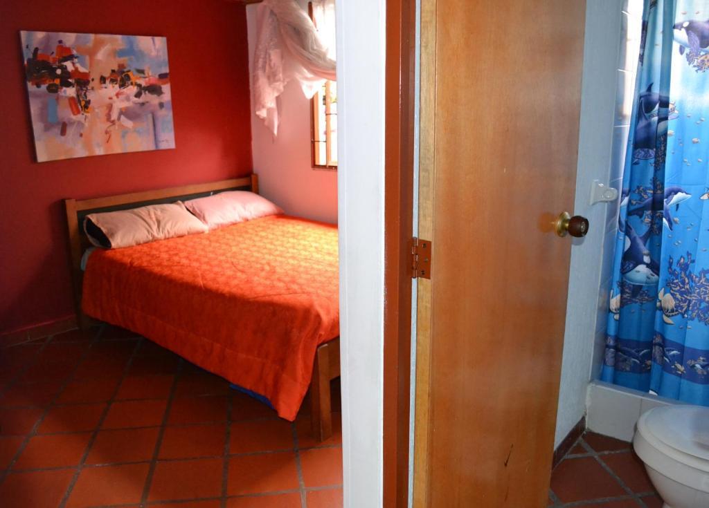 Tip Top Backpackers
