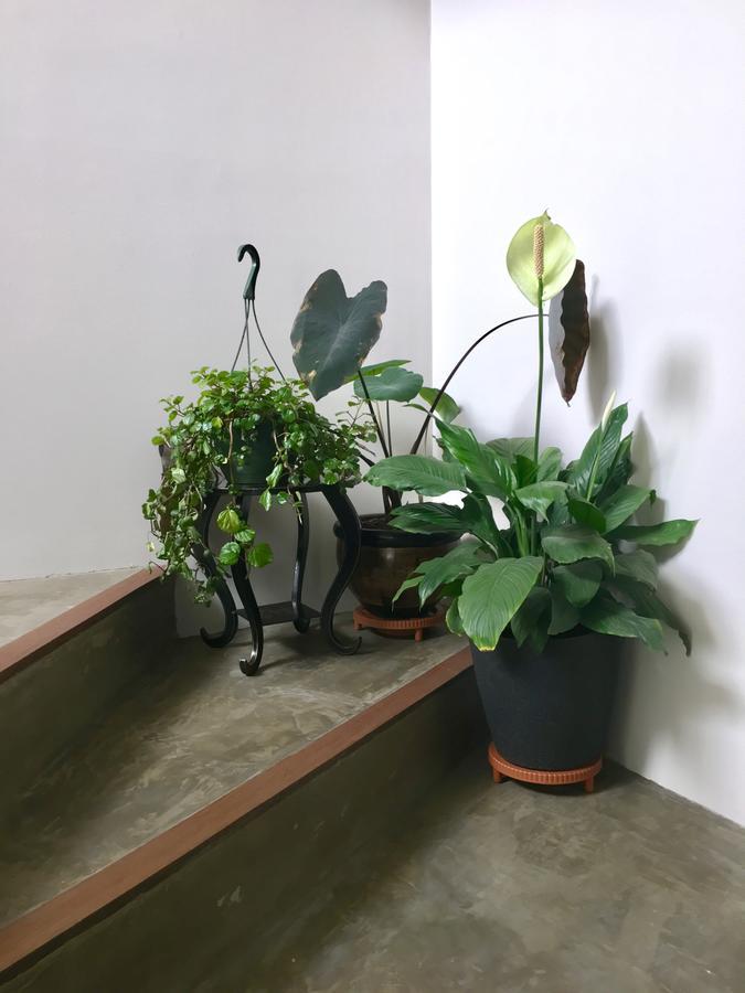 Casa Lelyte Bed and breakfast Bogotá