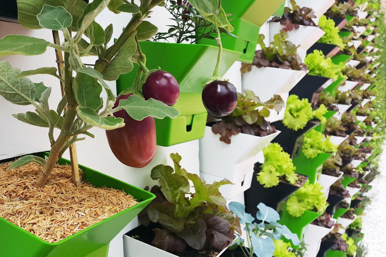 Biohotel Organic Hotel