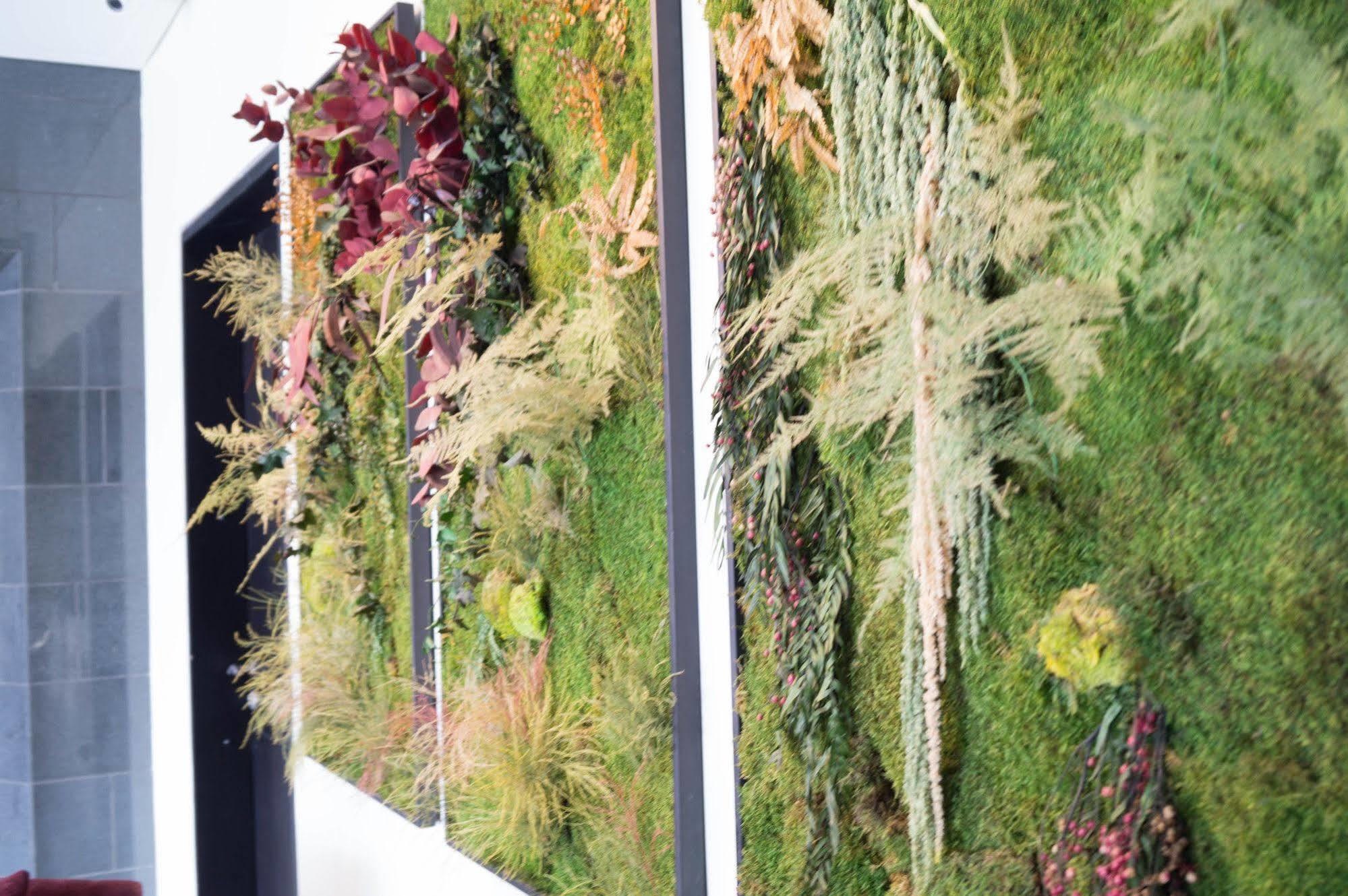 Bed and breakfast Wellness Usaquen Bogotá